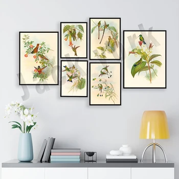 1850s Колибри живопис, антично тропическо ботаническо изкуство, колибри изкуство, летящи птици отпечатъци, красива стая декор плакат